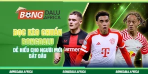 Đọc Kèo Chuẩn Bongdalu – Dễ Hiểu Cho Người Mới Bắt Đầu