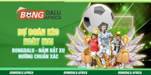 Dự Đoán Kèo Ngày Mai Bongdalu - Nắm Bắt Xu Hướng Chuẩn Xác 
