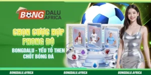 Chọn Cược Hợp Phong Độ Bongdalu - Yếu Tố Then Chốt Bóng Đá 