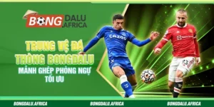 Trung Vệ Đá Thòng Bongdalu – Mảnh Ghép Phòng Ngự Tối Ưu
