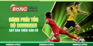 Cánh Phải Tốc Độ Bongdalu – Gây Bão Trên Sân Cỏ