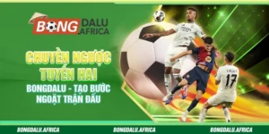 Chuyền Ngược Tuyến Hai Bongdalu – Tạo Bước Ngoặt Trận Đấu