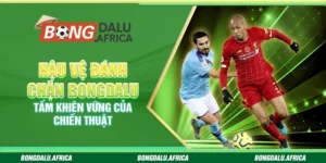 Hậu Vệ Đánh Chặn Bongdalu – Tấm Khiên Vững Của Chiến Thuật