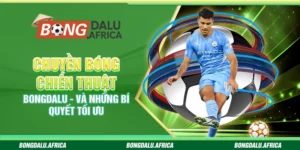 Chuyền Bóng Chiến Thuật Bongdalu - Và Những Bí Quyết Tối Ưu