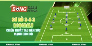 Sơ Đồ 3-4-3 Bongdalu – Chiến Thuật Tạo Nên Sức Mạnh Cho Đội