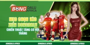 Mẹo Chọn Kèo Xiên Bongdalu – Chiến Thuật Tăng Cơ Hội Thắng 