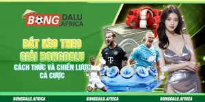 Bắt Kèo Theo Giải Bongdalu – Cách Thức Và Chiến Lược Cá Cược