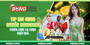 Tip Soi Odds Chuẩn Bongdalu – Chiến Lược Cá Cược Hiệu Quả 
