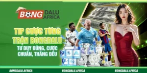 Tip cược từng trận bongdalu – Tư duy đúng, cược chuẩn, thắng đều