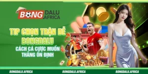 Tip Chọn Trận Dễ Bongdalu – Cách Cá Cược Muốn Thắng Ổn Định