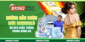 Hướng Dẫn Cược Đơn Bongdalu – Ăn Kèo Chắc Thắng Trong Bóng Đá