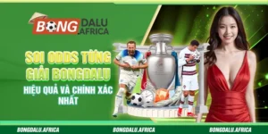 Soi Odds Từng Giải Bongdalu – Hiệu Quả Và Chính Xác Nhất 