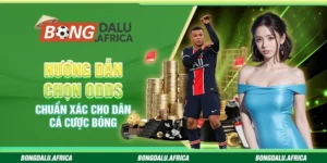 Hướng Dẫn Chọn Odds Chuẩn Xác Cho Dân Cá Cược Bóng
