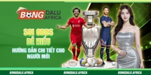 Soi Odds Dễ Hiểu – Hướng Dẫn Chi Tiết Cho Người Mới