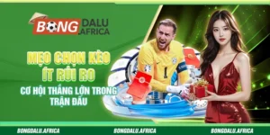 Mẹo Chọn Kèo Ít Rủi Ro Dành Cho Người Chơi Thông Minh