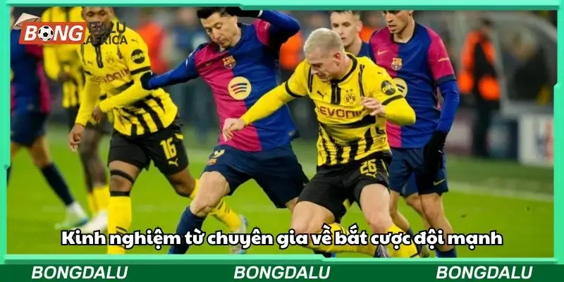 Tổng hợp các kinh nghiệm bắt cược đội mạnh siêu đơn giản
