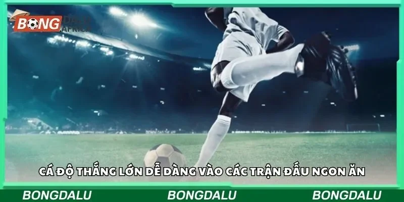 Cá độ thắng lớn dễ dàng vào các trận đấu ngon ăn