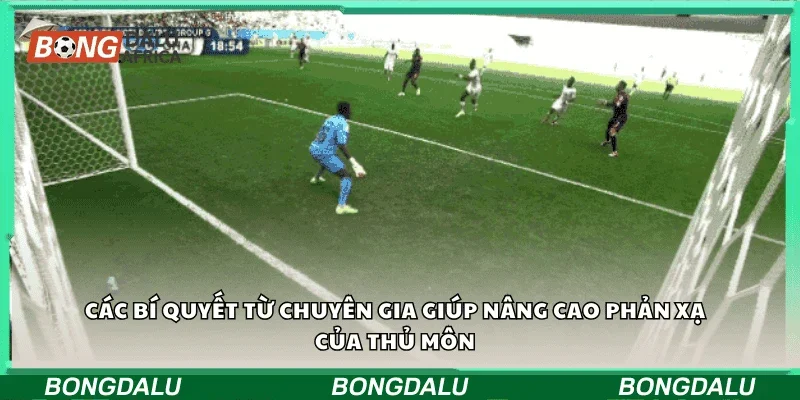 Các bí quyết từ chuyên gia giúp nâng cao phản xạ của thủ môn