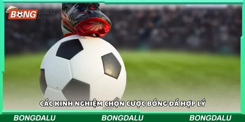 Các kinh nghiệm chọn cược bóng đá hợp lý