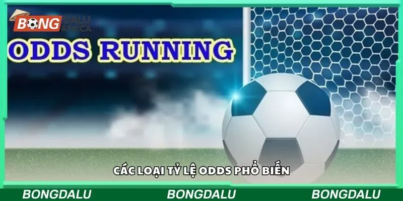 Các loại tỷ lệ odds phổ biến