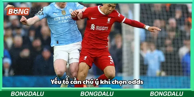 Các yếu tố quan trọng giúp bạn chọn kèo chuẩn