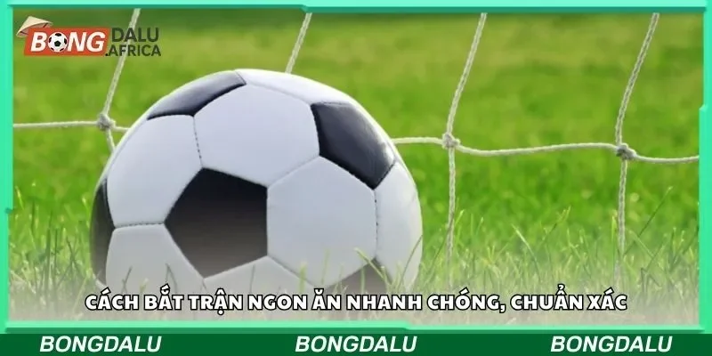 Cách bắt trận ngon ăn nhanh chóng, chuẩn xác