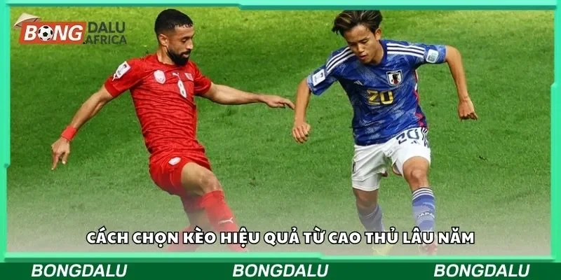 Cách chọn kèo hiệu quả từ cao thủ lâu năm