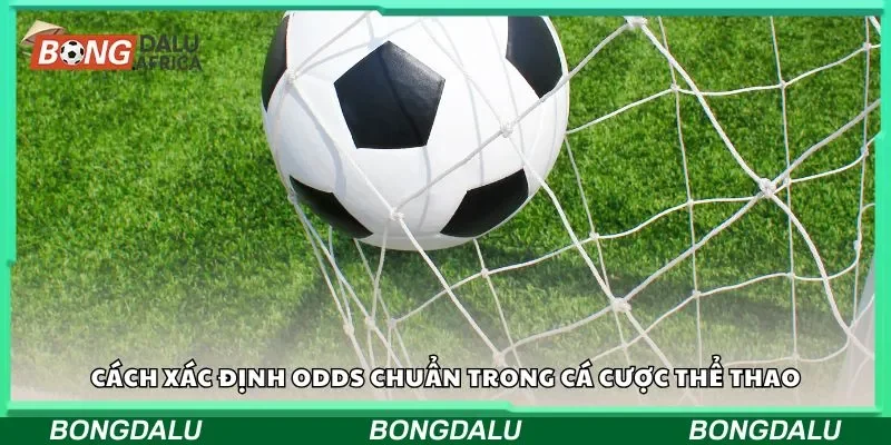 Cách xác định odds chuẩn trong cá cược thể thao