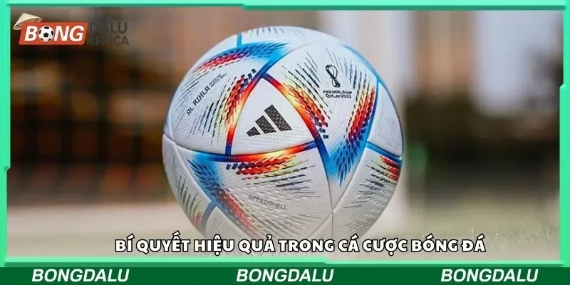 Bí quyết hiệu quả trong cá cược bóng đá