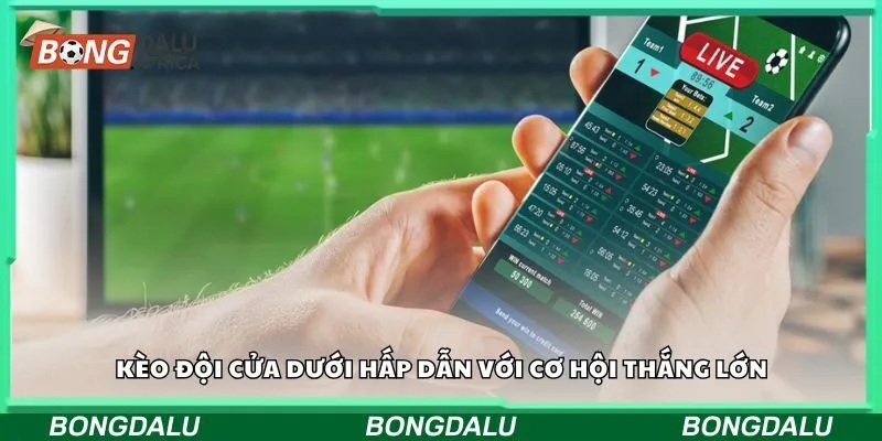Kèo đội cửa dưới hấp dẫn với cơ hội thắng lớn