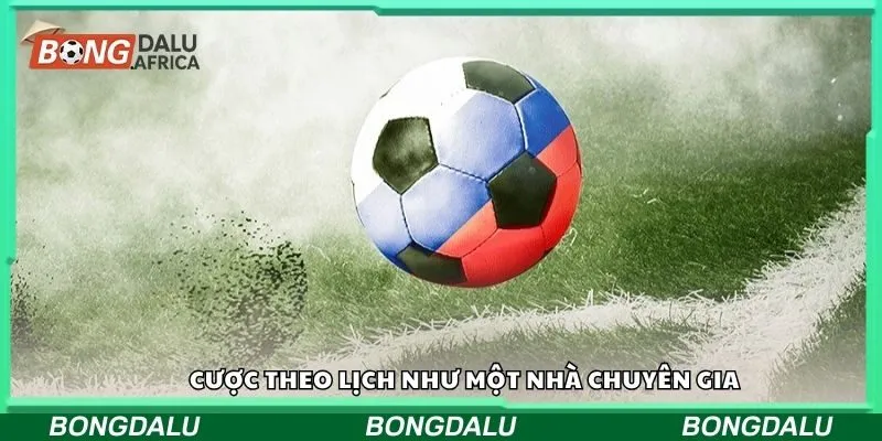 Cược theo lịch như một nhà chuyên gia