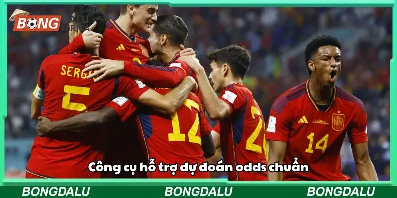 Các yếu tố ảnh hưởng đến dự đoán odds mà bạn cần biết