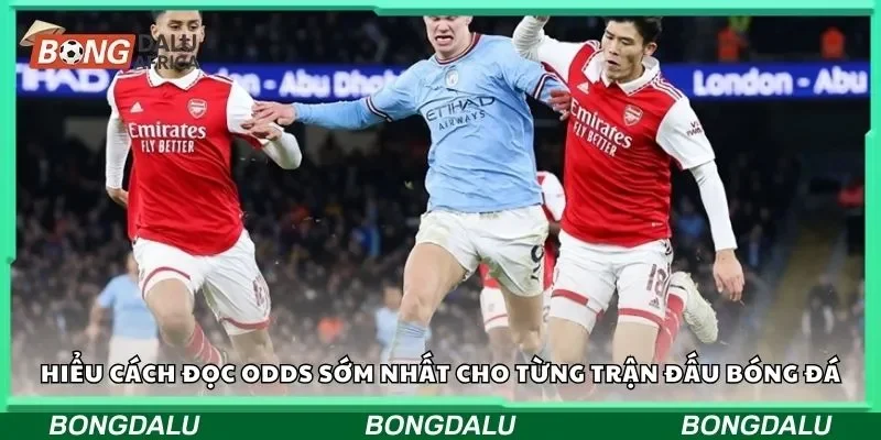 Hiểu cách đọc odds sớm nhất cho từng trận đấu bóng đá
