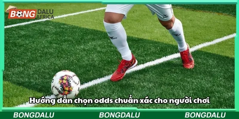 Hướng dẫn chọn odds chuẩn xác cho người chơi