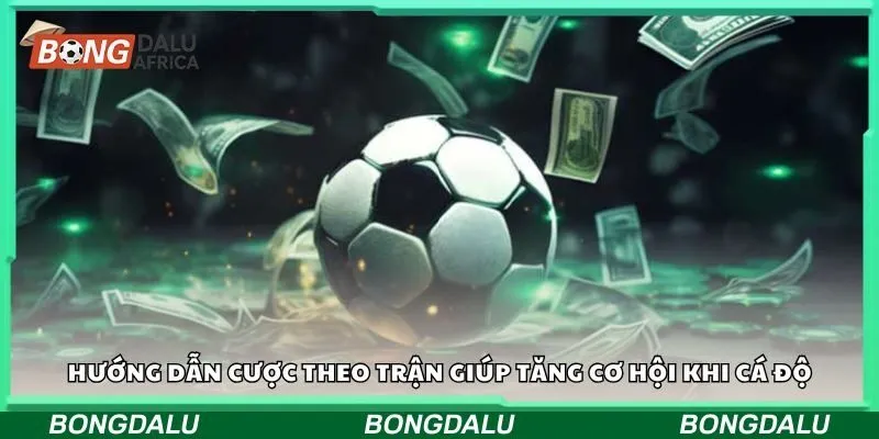 Hướng dẫn cược theo trận giúp tăng cơ hội khi cá độ