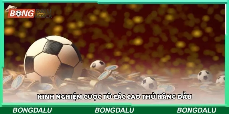 Kinh nghiệm cược từ các cao thủ hàng đầu