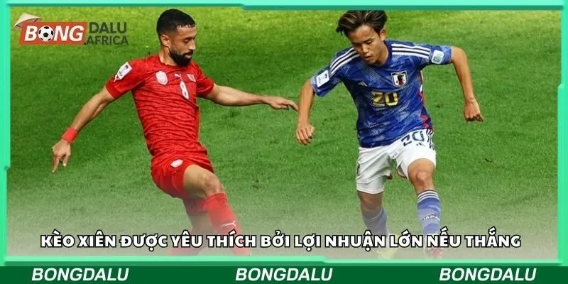 Kèo xiên được yêu thích bởi lợi nhuận lớn nếu thắng