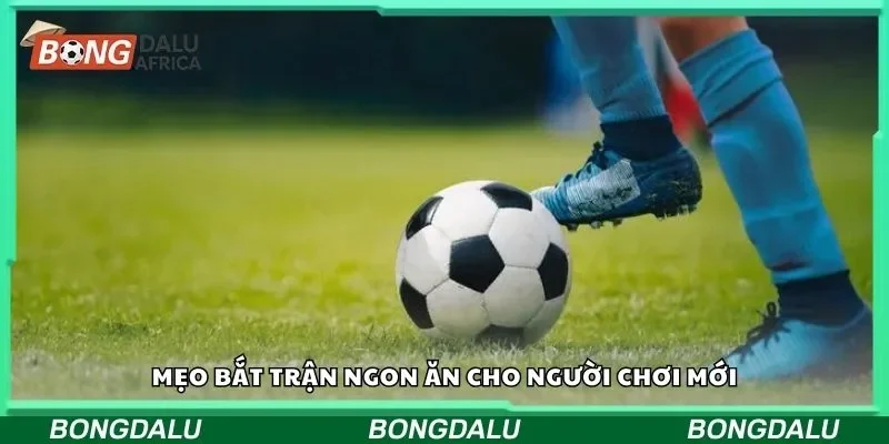 Mẹo bắt trận ngon ăn cho người chơi mới
