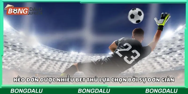 Kèo đơn được nhiều bet thủ lựa chọn bởi sự đơn giản, dễ chơi