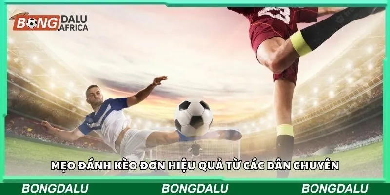 Mẹo đánh kèo đơn hiệu quả từ các dân chuyên