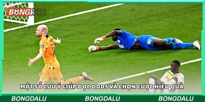 Một số lưu ý giúp đọc odds và chọn cược hiệu quả