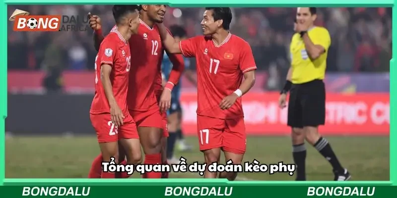 Phân tích nhanh về dự đoán kèo phụ