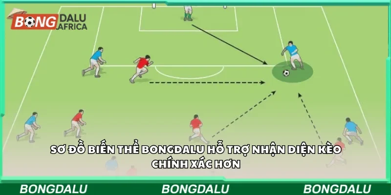 Sơ đồ biến thể Bongdalu hỗ trợ nhận diện kèo chính xác hơn