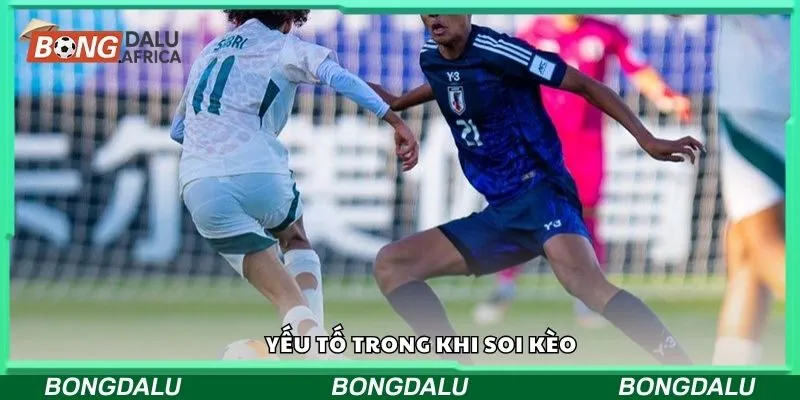 Yếu tố trong khi soi kèo