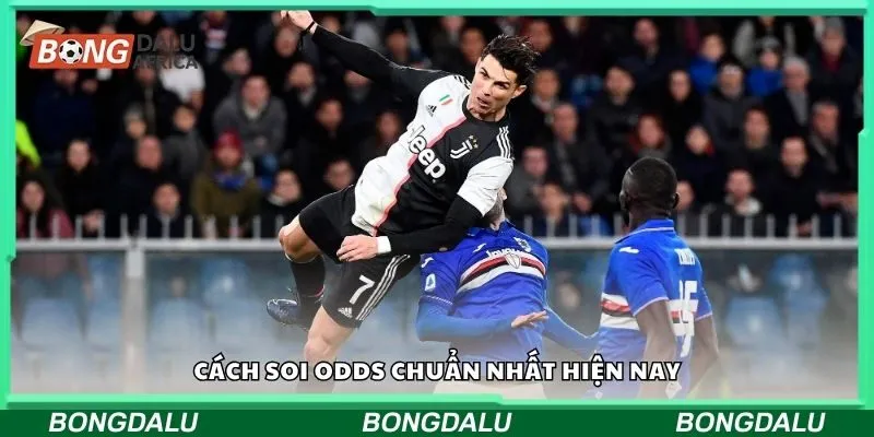 Cách soi odds chuẩn nhất hiện nay