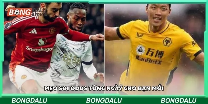 Mẹo soi odds từng ngày cho bạn mới