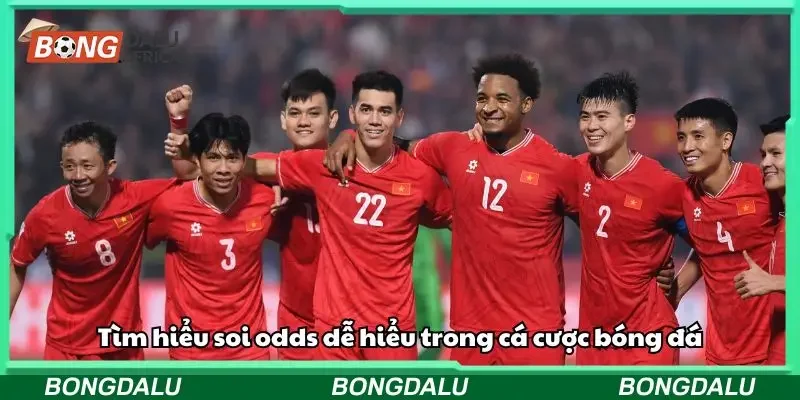 Tìm hiểu soi odds dễ hiểu trong cá cược bóng đá