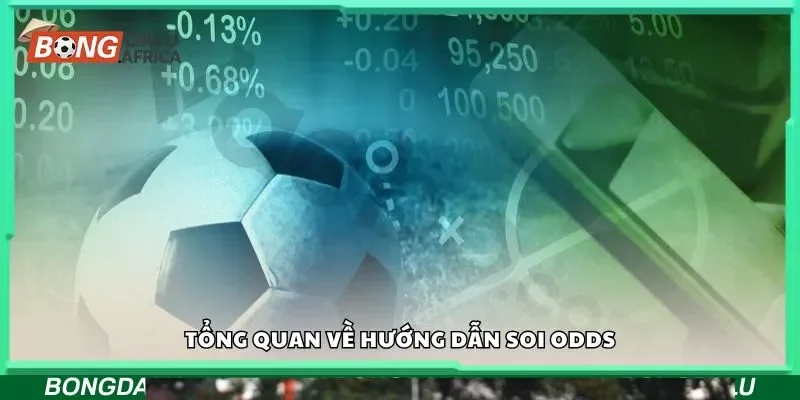 Tổng quan về hướng dẫn soi odds