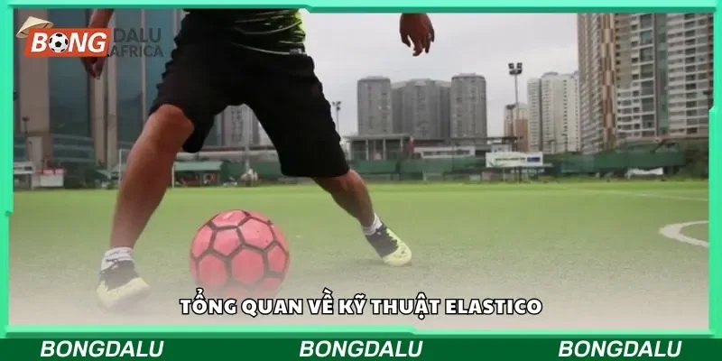Tổng quan về kỹ thuật elastico