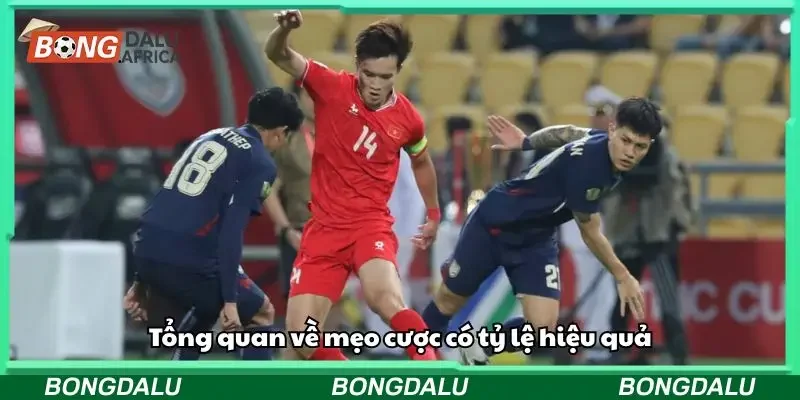 Tổng quan về mẹo cược có tỷ lệ hiệu quả